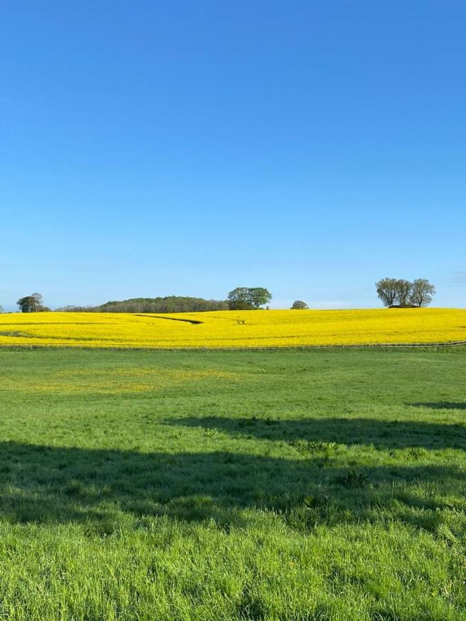 Schmuckstück in Ostseenähe Surendorf Exterior foto